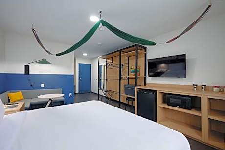 Single Room - Disability Access