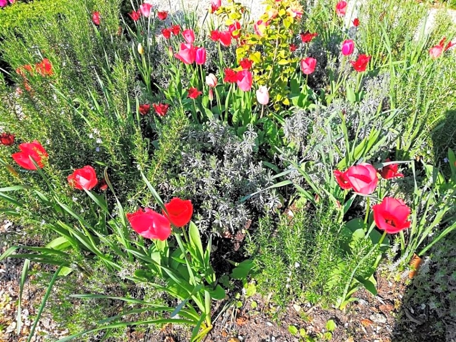 Le Domaine Des Platanes