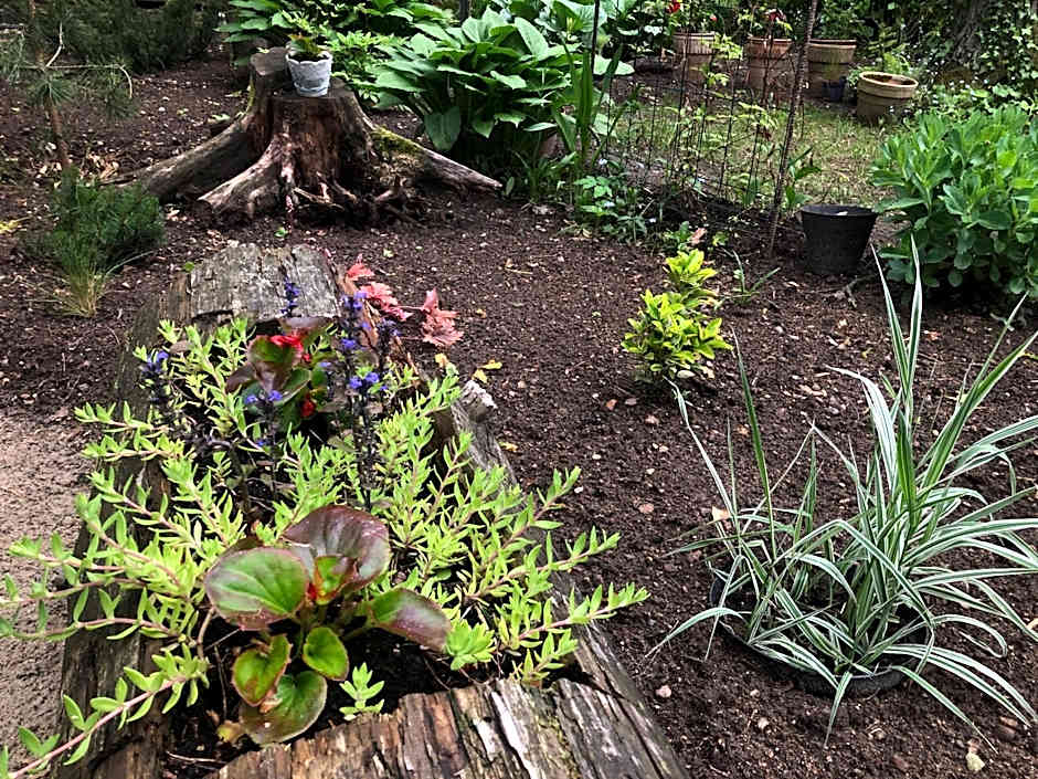 Letnisko SYMSAR 6, Drewniany domek letniskowy z ogrodem