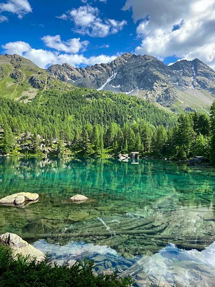 B&B Berninapass- Bernina Experience