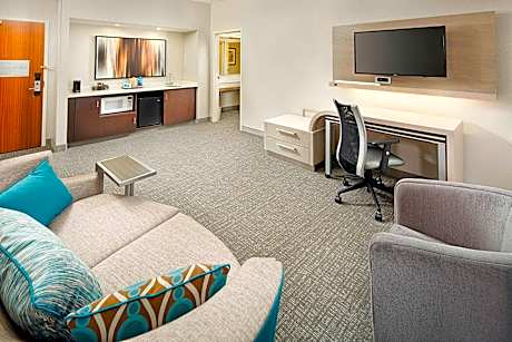 One-Bedroom King Suite with Sofa Bed