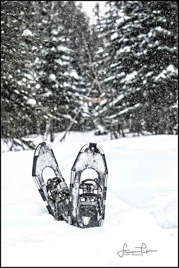 Aux Pignons Rouges Camping & Chalets