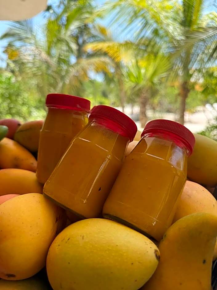 Casa Mia El Cuyo Eco Beach Boutique Hotel