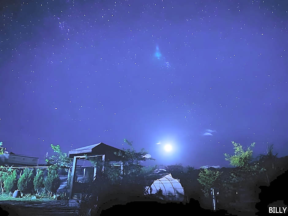 Flower and Star Garden Bed and Breakfast