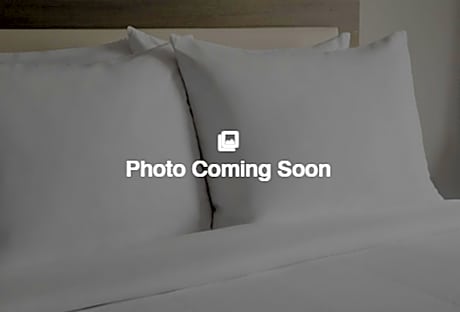 Renovated Cura King, Guest room, 1 King