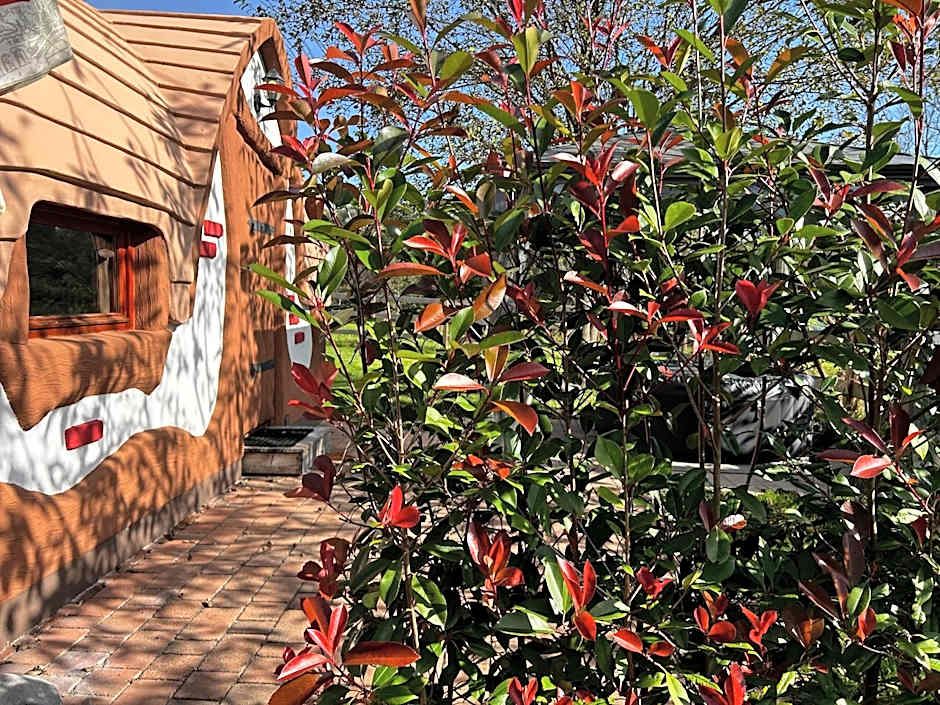 Glamping PEC - HALFBOARD