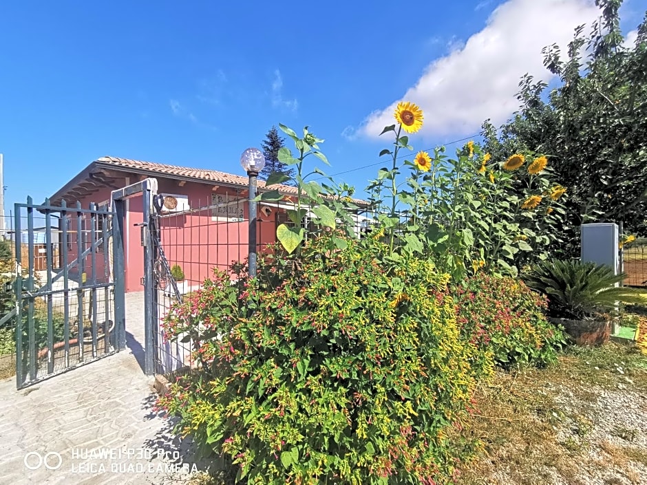 Bed And Breakfast "ANNA"