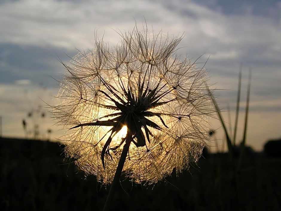 Tornácos Hotel - Hegykő