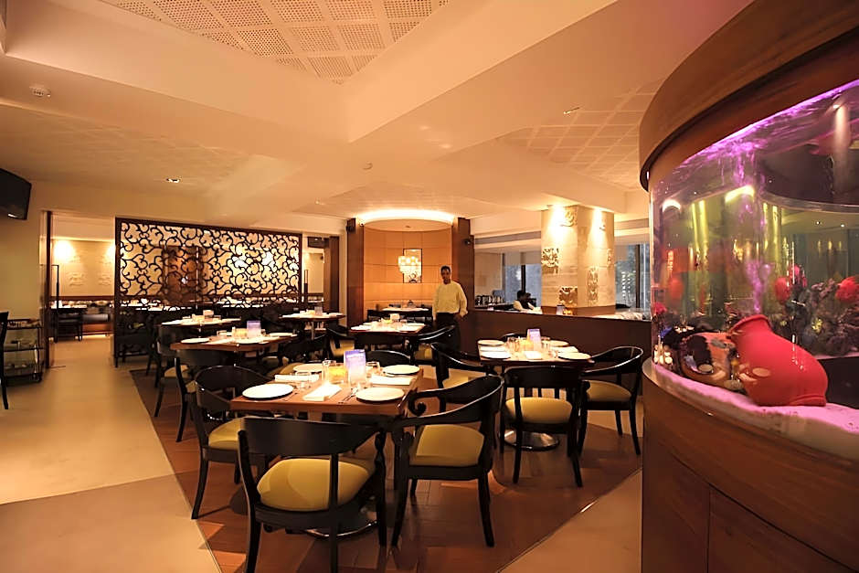 The International by Tunga