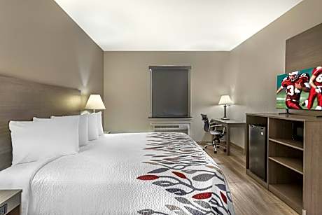 Deluxe King Room Disability Access Roll-In Shower Non-Smoking