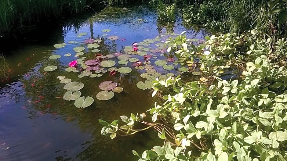 Vakantiehuisje Achter