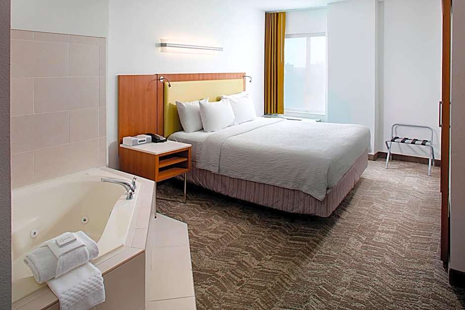 SpringHill Suites by Marriott Savannah Downtown/Historic District
