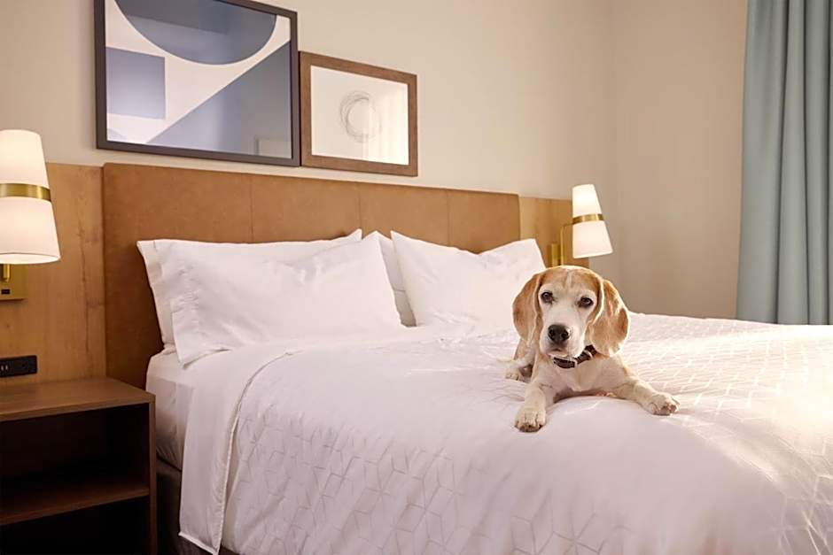 Staybridge Suites Omaha 80th and Dodge By IHG
