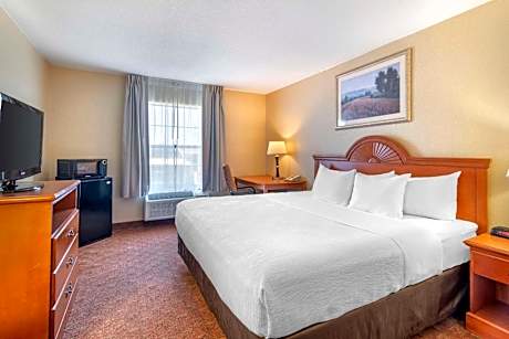 1 King Bed, Nonsmoking