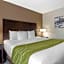 Comfort Inn & Suites Tualatin Lake Oswego South
