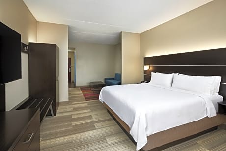 Suite King Bed Non Smoking