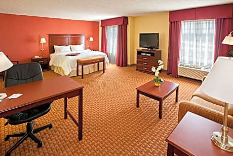 1 KING MOBILITY/HEARING ACCESS TUB STUDIO NS