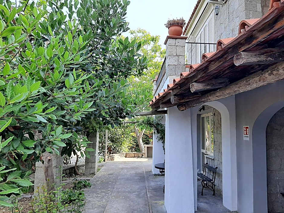 Il Vitigno di Dioniso