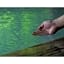 ＢＥＤ＇ｎ ＯＮＳＥＮ ＨＡＭＭＯＮＤ - Vacation STAY 80655v