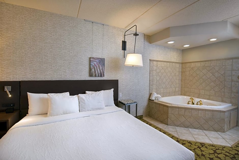 Hilton Garden Inn Wisconsin Dells