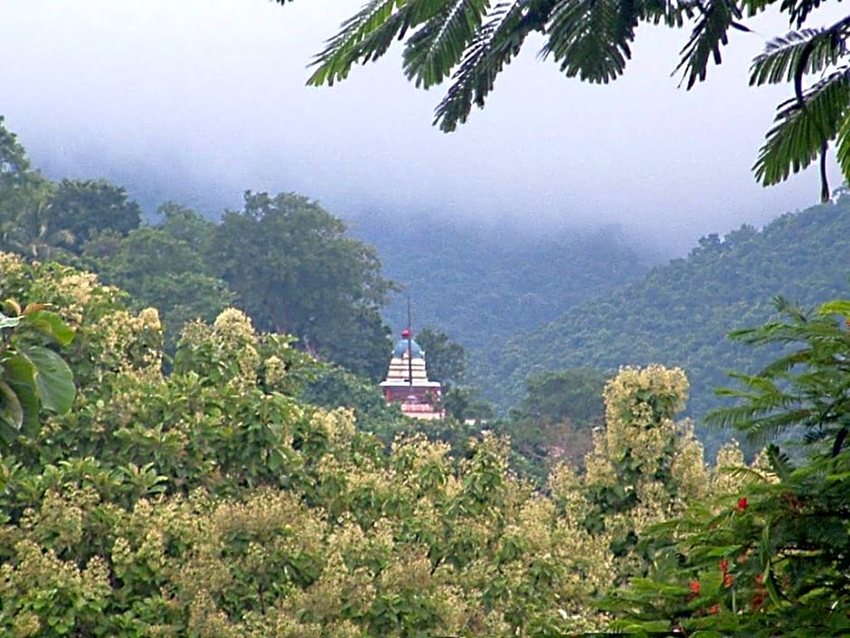 Ushasree Residency - Aruku Valley Road