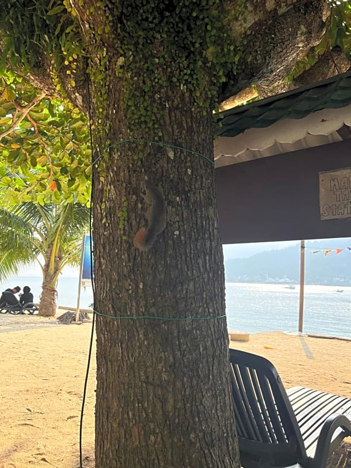 Mama's Chalet Pulau Perhentian Besar