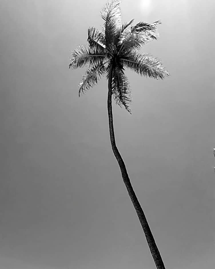 Pelados Beach Hostel