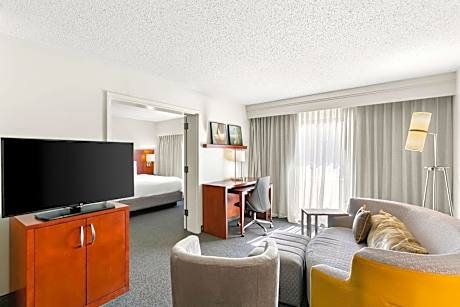 One-Bedroom King Suite