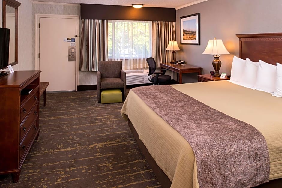 Best Western Plus Black Oak
