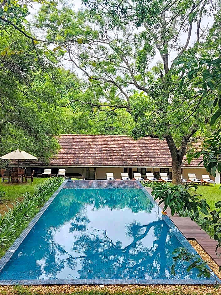 EKHO Sigiriya - 700 meters to Sigiriya Rock