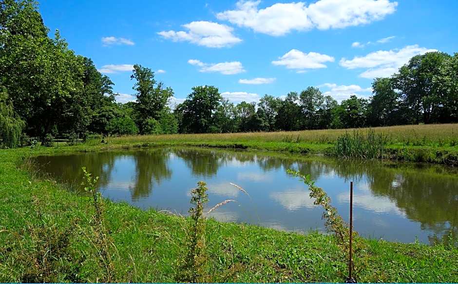 Château d'Island Vézelay