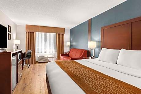 King Suite with Sofa Bed