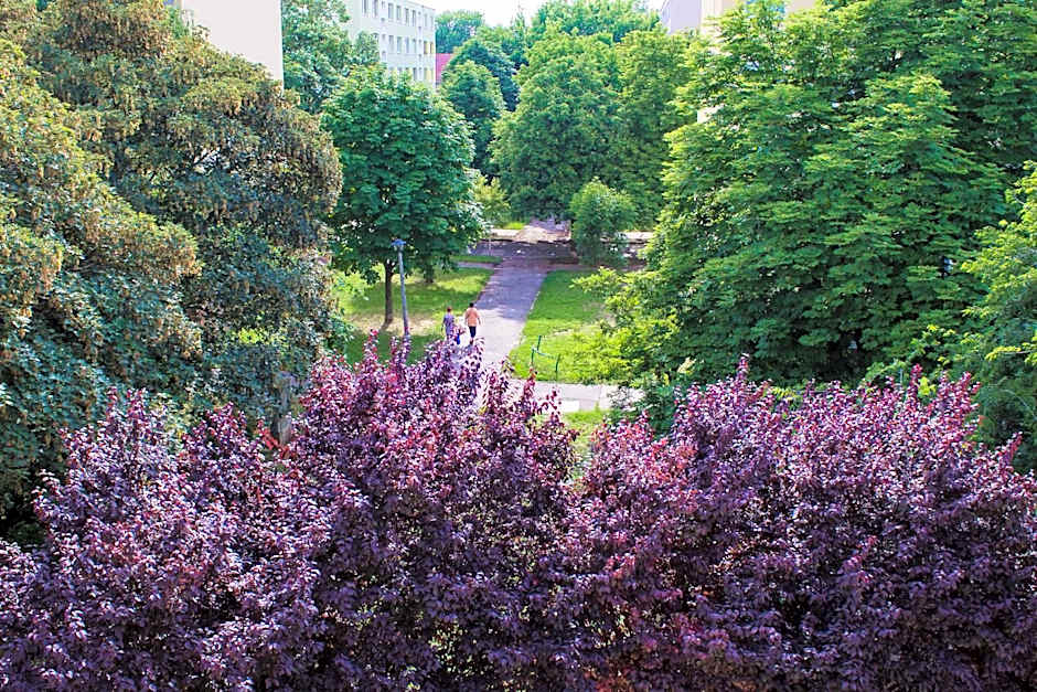 Nexus Vendégház Szeged