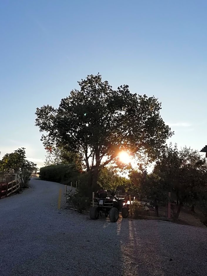 B&B Gli amici del tubarello