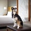 Hyatt Place Denver Downtown