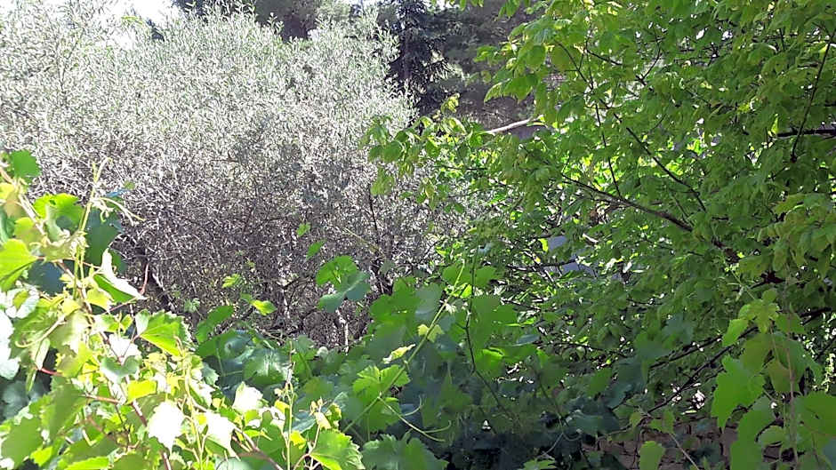 Bastide Sainte Agnès