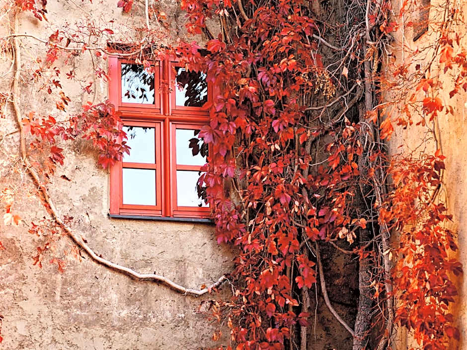 Hotel Schloss Gabelhofen