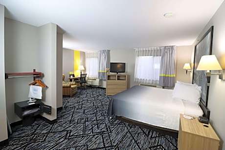 1 King Bed Mobility Accessible Studio Suite Non-Smoking
