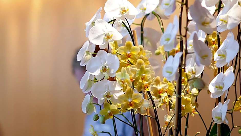 M Star Columbus North