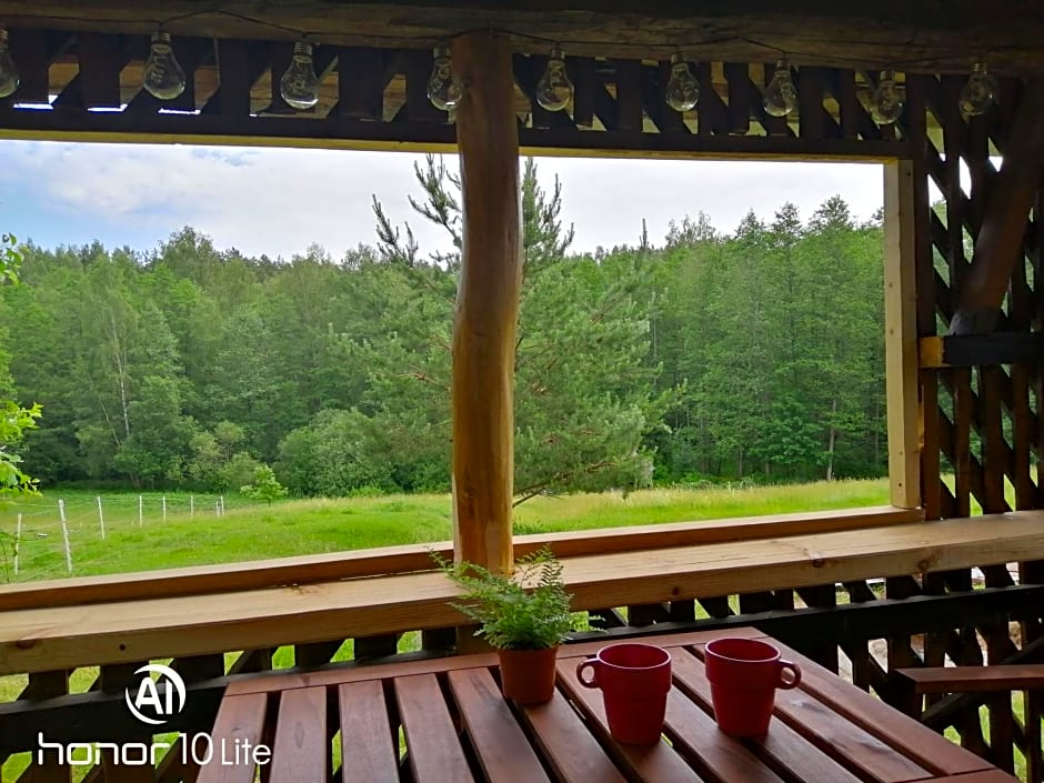 Poilsio kampelis Zarasuose