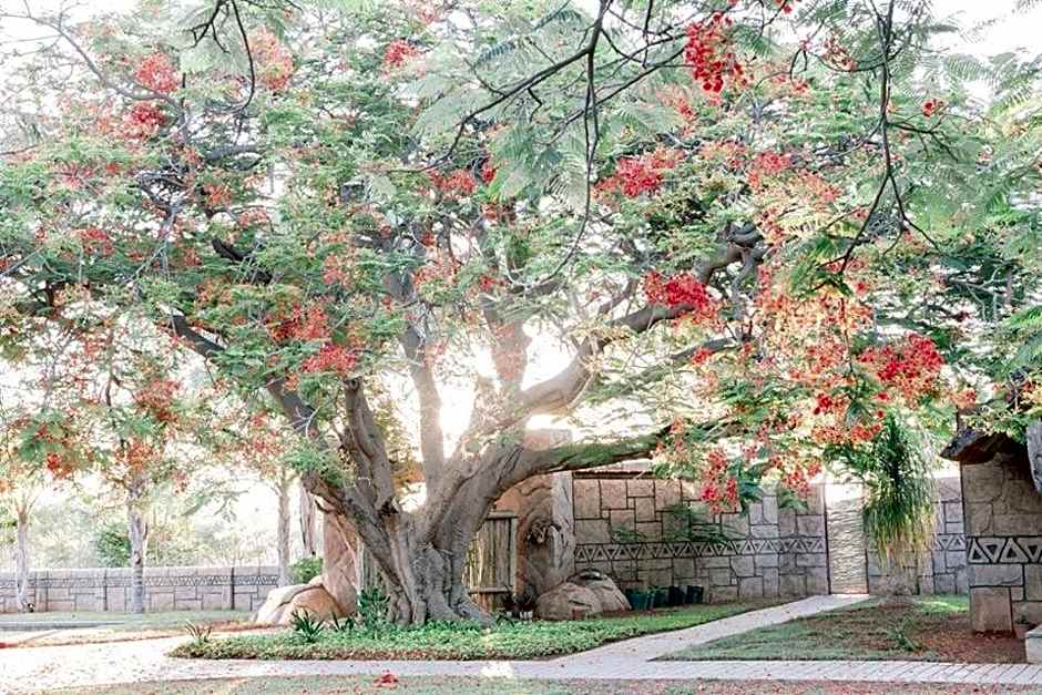 Tshukudiba Game Lodge