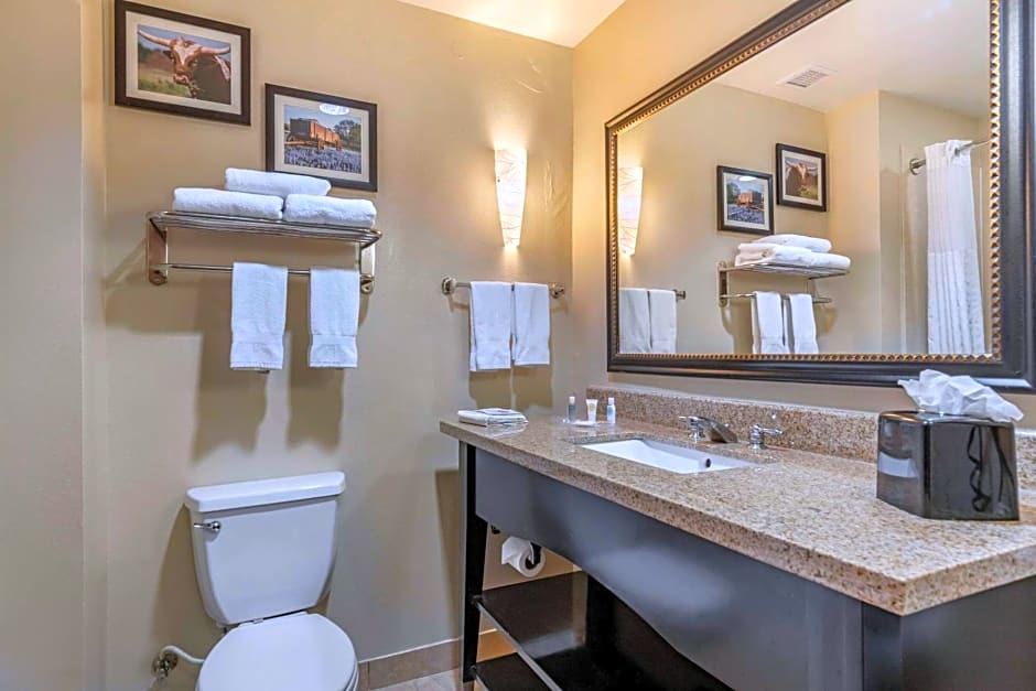Comfort Suites Buda
