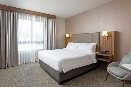 One-Bedroom King Suite