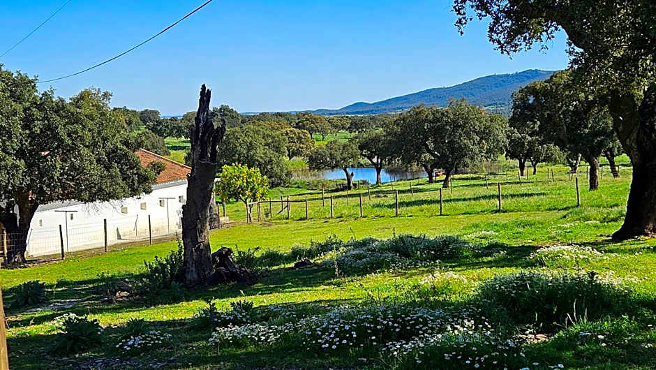 Herdade do Burrazeiro Turismo Rural no Alentejo