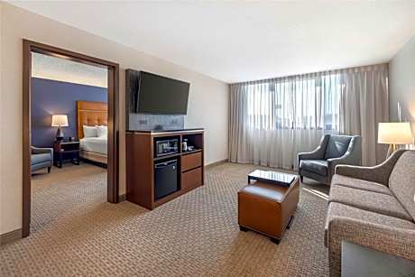 King Suite with Sofa Bed - Accessible, Tub