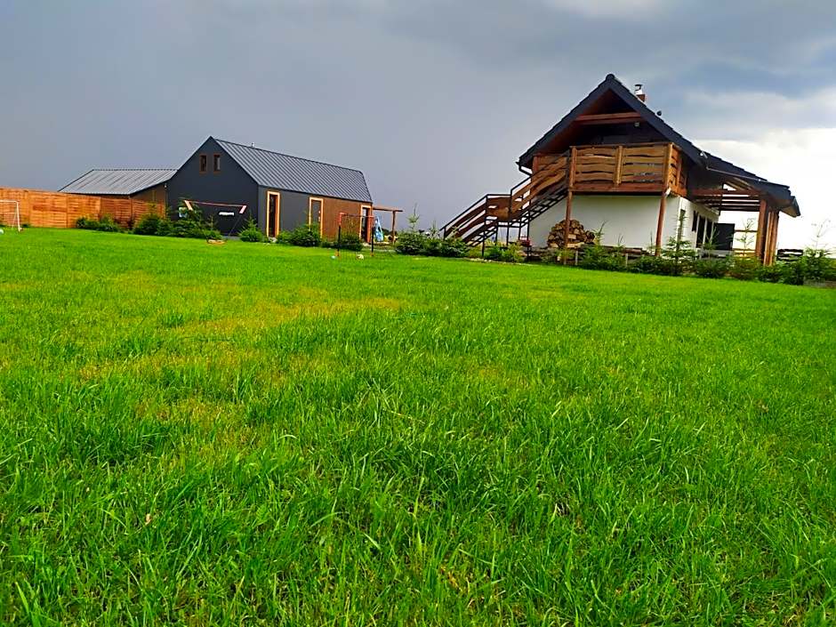 Koniczynka Jarosławiec