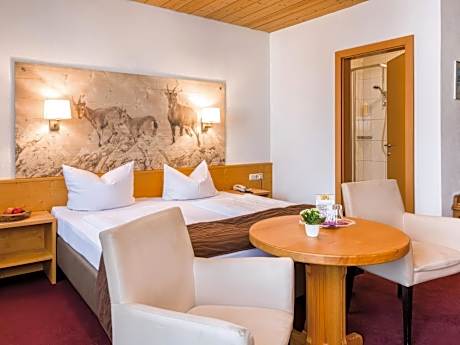 Business Single Room