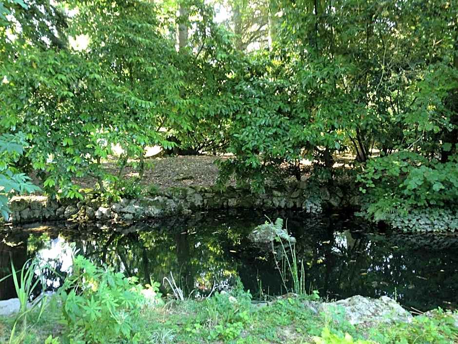 Chambre d'hotes Les Rives de la Tronne