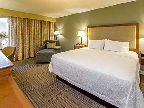 1 Queen Suite with Microwave Fridge Non-Smoking