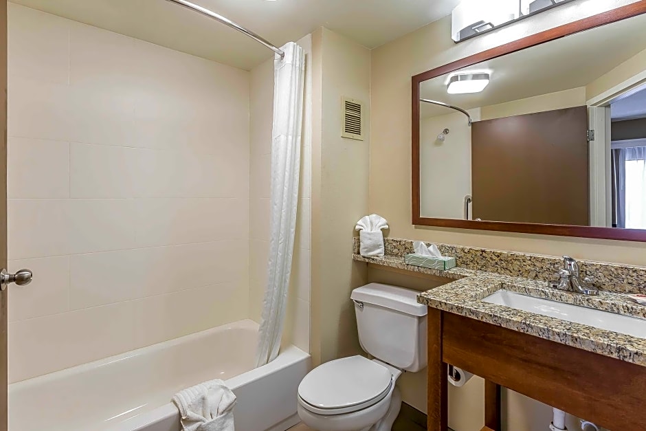 Comfort Inn South